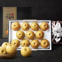 딜리버리맛트 [딜맛] 청실농원 프리미엄 명품 배 선물세트 7.5kg(9~10과), 1