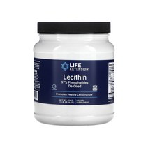 라이프 익스텐션 레시틴 16 oz / 454g 파우더 분말 대두레시틴, 1개