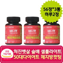 처진뱃살 술배 셀룰라이트 50대다이어트 체지방빼는법 보이차 레몬밤 뱃살빼기 뱃살다이어트 다이어트보조제 내장지방빼는법 체지방줄이는법 복부다이어트 허벅지안쪽살빼기 처진뱃살 중년다이어트