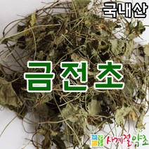 사계절약초 국내산 금전초 200g, 1개