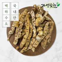 국산 백하수오 건조 토종 백수오 차 300g 효능, 국산 백하수오(대) 300g