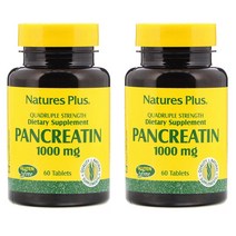 네이처스 플러스 판크레아틴 1000Mg Natures Plus Pancreatin 1000 Mg Ci Ep 60정 2개