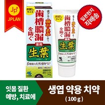 생엽 약용 치약 [40g 100g] 치은염 치조농루 잇몸 출혈 질환 예방 치료 입냄새 치태 치석, 약용 치약100g