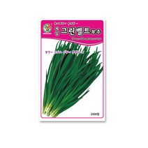 모칸도 제일종묘 그린벨트 부추 2000립
