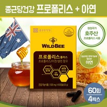 종근당 프로폴리스 캡슐 플라보노이드 아연 셀렌 항산화 영양제 비프로폴리스 추출물 알약 건강기능식품 호주 PROPOLIS, 2팩, 와일드 비프로폴리스 플러스 60C 2박스