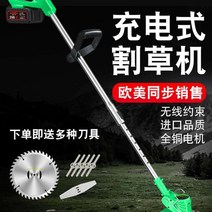220v 전기 잔디 깎는 기계 정원 가정용 유선 예초기, 가정용 개폐식 배터리 2000mA 단일 전원 표준, 1개