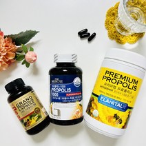 프로폴리스 플라보노이드 몸속 만성 염증 독소 제거 항산화 항염 면역력 증진 높이는 영양제, (선택1)프로폴리스 90캡슐
