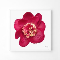 풍수아트 10.M 레드 | 화이트 메탈액자 중형12호 [50x50cm]