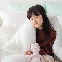 도미아 고밀도 순면 60수 알러지케어 간절기 호텔식 차렵이불