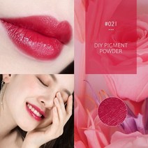 립글로즈 립틴트 립밤 립라이너 잘 지워지지 않는 착색 타투 립스틱 틴트 65 색 립글로스 용 운모 분말 diy 안료 분말 에폭시 수지 비누 만들기 점액 수제 립글로스 공급, 이십 일