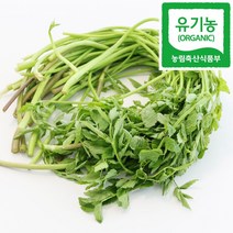 유기농 세척 미나리 무농약 생 돌미나리, 1개, 4kg