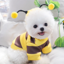 강아지 꿀벌옷 귀여운 후드티