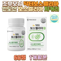 조부모님 닥터보스웰리아 인도산 보스웰리아 치커리 부모님 아버지 어머니 엄마 아빠 시아버지 시어머니 장인어른 장모님 사돈 온가족 40대 50대 60대 70대 성인 남성 남자 여성 여자 어버이날 환갑 칠순 생신 선물