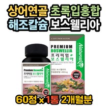 콘드로이친 히알루론산 해조칼슘 보스웰리아효능 관절 프랑킨센스 보스웰리아효과 보스웰리아복용법 판토텐산효능 판토텐산효과 콘드로이친효능 콘드로이친효과 히알루론산효능 우슬
