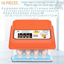 병아리부화기 자동 달걀 계란 부화기 새 메추라기 병아리 가금류 터너 농장 부화, 16 PCS EGG incubator+AU Plug
