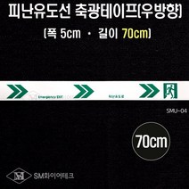 SM화이어테크 피난유도선 축광테이프 길이 70cm 대피유도로 야광띠 우방향 좌방향 방화셔터내려오는곳, 1개