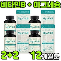 비타민 비 비군 VITAMIN B B-COMPLEX BCOMPLEX 콤플렉스 컴플렉스 복합체 복합제 바이타민 비원 B1 B2 B6 B12 마그네슘 청소년 수험생 임산부 영양제 추천, 4박스(12개월분)