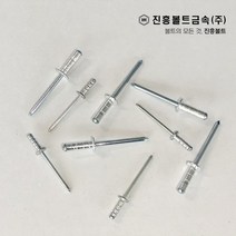 블라인드 리벳 브라인드 리베트 (알루미늄 스텐) 봉지 판매, 2.스텐, 4X16=200EA