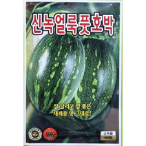 신녹얼룩 풋호박씨앗60립 KS종묘 잘 달리고 깔 좋은 재래종 맛 그대로