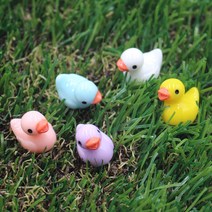 미니어처 소품 오리 가드닝 테라리움 미니어처오리 미니오리 오리모형