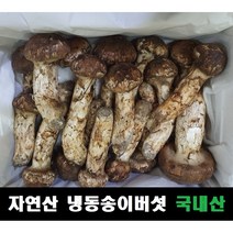 송이버섯 자연산 냉동 국내산, 1등급(15~25송이,크기랜덤) 1kg, 1개