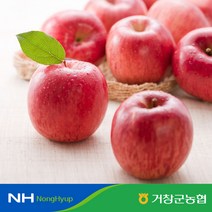 [거창군농협] 거창 햇 홍로사과 5kg 27개내, 27개