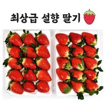 [햇쌀맘] 프리미엄 산지직송 고당도 논산 설향 딸기(특) 800g 최상급 백화점 납품용 특급포장 선물박스, 800g+800g