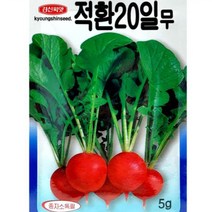 경신종묘 무씨앗 적환20일무 5g