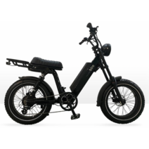 클래식 전기자전거 바이로 와일드 S A 전동 자토바이 삼성배터리, 와일드S(PAS+스로틀겸용), 48V21Ah