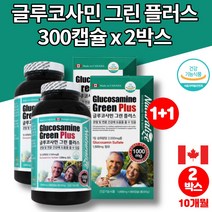 코스트코 관절N 글루코사민 플러스 프리미엄 조인트 서포트 JOINT SUPPORT 50대 60대 70대 먹어야할 뼈에 무릎 관절에 좋은 영양제 캡슐, 2박스