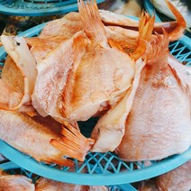 속초중앙시장 열기 장문볼락 26cm내외 맛있는 반건조생선 제수용 생선모듬 구이용생선, 열기26cm내외