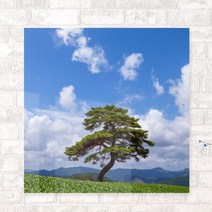 [천삼백케이] [꾸밈] cr572-아크릴액자건상의상징소나무(중형)