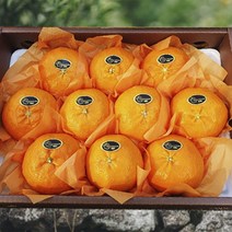 제주 고당도 로얄과 레드향 백화점 명절 과일 선물세트 가정용 선물용 꿀당도, 05_레드향 로얄과 프리미엄 선물용 5kg
