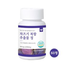 눈엔 차즈기 추출물 영양제 국산 차조기 자소엽 잎 블루베리 가루 분말 차 자기 눈 건강 알약 캡슐 정 식약처 해썹 인증 루테올린 효능, 60캡슐x1개, 앤디베스트_차즈기