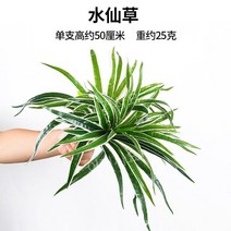 플라워월 꽃벽 식물벽 조화, 28
