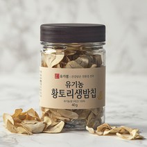 [본사공식몰] 유기샘 유기농 황토리생밤칩 40g, 1개