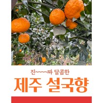 제주도 산지직송 신비향 이영자픽 설국향 3kg 5kg 10kg, 1개