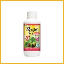 대유 물푸레 500ml 수경재배 양액비료 액비 영양제 관주용 과채 엽채 화훼류용 상추 딸기, 물푸레1호(엽채류화훼류)-A+B 세트