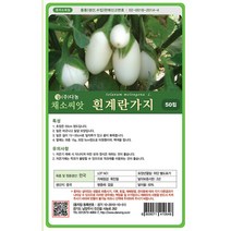 흰계란 가지 50립 - 씨 씨앗 계란가지 흰색 가지씨앗 가지씨 계란가지씨앗 계란가지씨 채소씨 채소씨앗, 16_다농_흰계란 가지(50립)
