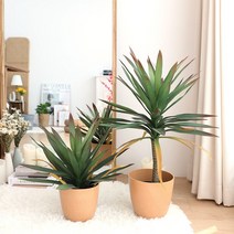 아가베 아테누아타 식물 조화 나무 인조 화분 테킬라 용설란 2size, 80cm