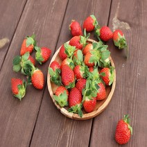 [프레시푸드마켓] 생딸기 하우스딸기 설향딸기 장희딸기 500g 1KG(500g 1팩 X 2) 2KG(500g 1팩 X 4), 딸기 소 1KG(500g 1팩 X 2)
