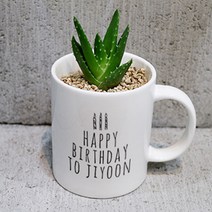 친구 직장 동료 커플 생일축하 네이밍 다육이 머그컵, 추가함(4~5알)(+900), 2마리추가(+600), 2송이 추가(+2000)