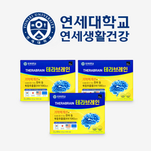 [정식판매처] 연세대 테라 브레인 3박스 기억력 두뇌 건강 기능식품 천마 가루 뇌 홍경천 아연 연세생활건강, 1 box 60개입 / 120g, 120g