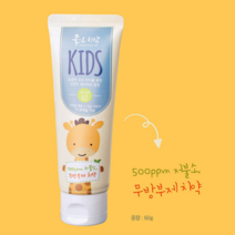 유아 무불소 치약 잇몸에좋은치약 명품 계면활성제없는 좋은치약 친환경 천연 유기농 치약 연세대 연세 치과의사 개발