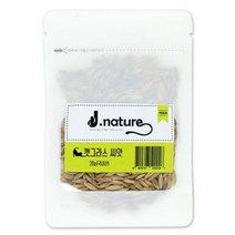 D17 캣그라스 씨앗 20g, 1, 본상품선택