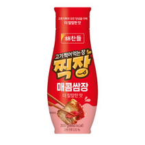 해찬들 고기 찍어 먹는 장 찍장 매콤쌈장, 300g, 2개