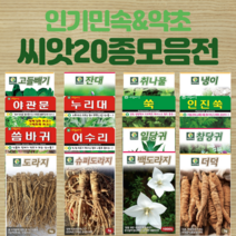 민속 채소 씨앗 종자 약초 도라지 더덕 공심채 잔대 냉이 고들빼기 씀바귀 쑥 당귀 텃밭, 18.누리대(누룩치), 1개