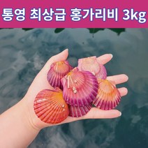 최상급 세척 통영 홍가리비 3kg 찜용 조개구이용