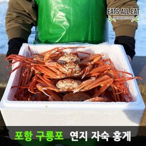 이츠올릿 포항 구룡포 연지 자숙 홍게 4kg 울산 영덕 박달 대게 대구 울진 홍개, 고급 A급_3kg 12미 (수율 85%내외)