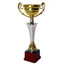 스투피드 대회용 우승 시상트로피 (실버LINE컵 / 35cm철재), 선택완료, 단품없음